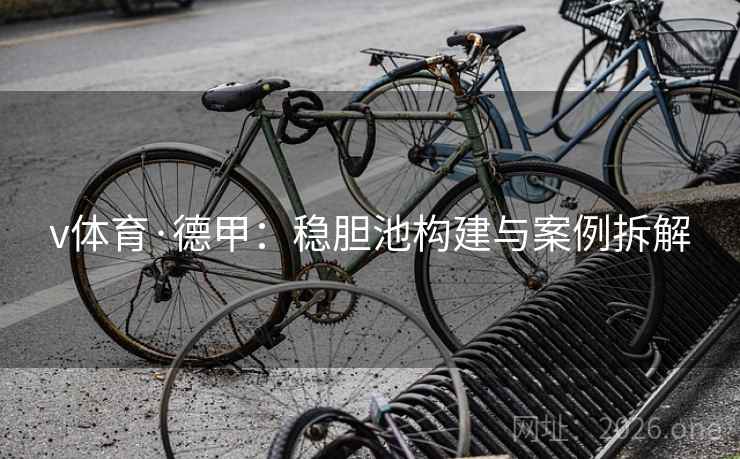 v体育·德甲：稳胆池构建与案例拆解