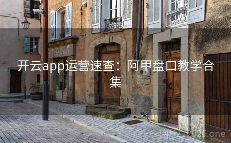 开云app运营速查：阿甲盘口教学合集