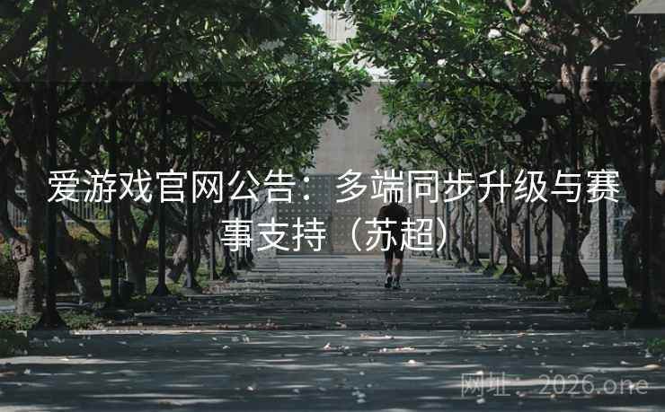 爱游戏官网公告:多端同步升级与赛事支持(苏超)