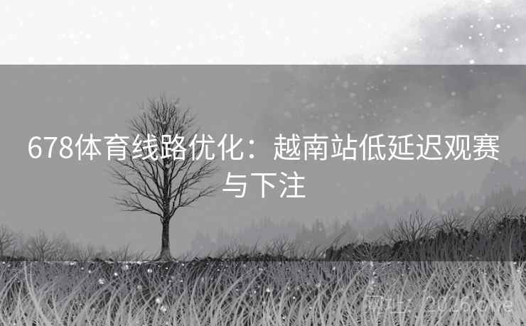 678体育线路优化:越南站低延迟观赛与下注