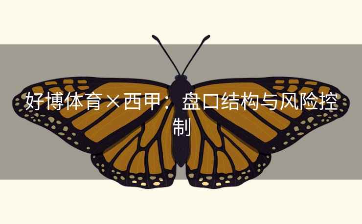 好博体育×西甲:盘口结构与风险控制